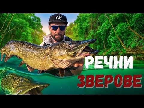 Видео: За ЩУКИ в ДЖУНГЛАТА 