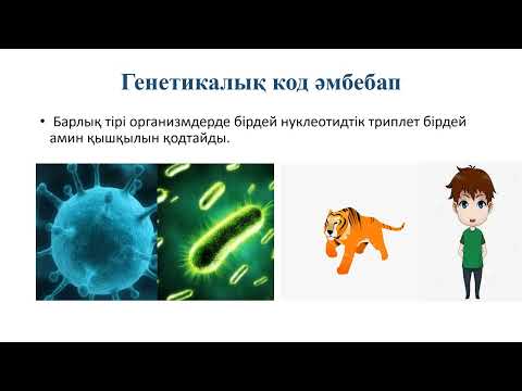 Видео: Биология 11 класс.Properties of the genetic code.