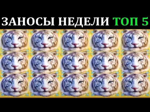 Видео: ЗАНОСЫ НЕДЕЛИ.Мега выигрыш ОТ x1000. ТОП 5 больших заносов. выпуск 78