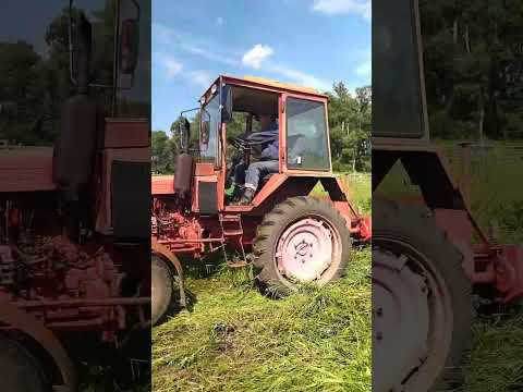 Видео: 25 июля 2024 г.