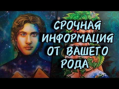 Видео: 🌳Срочная информация от вашего Рода...