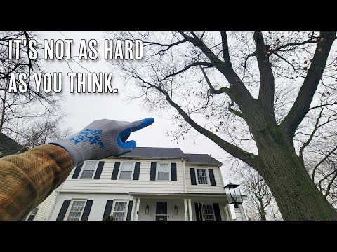 Видео: Как установить большие ветки над домами