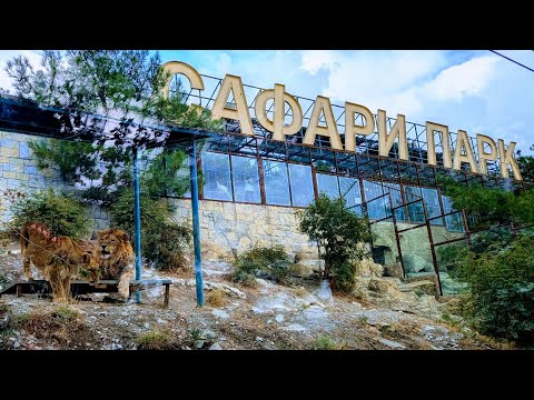 Видео: Сафари-парк Геленджик