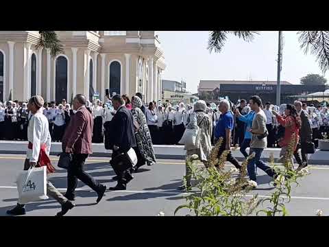 Видео: 19 сентября 2025 г.