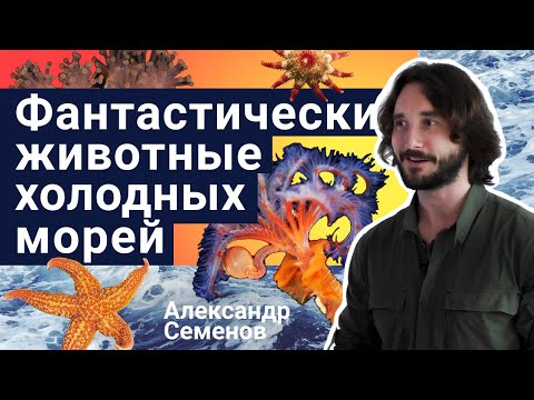 Видео: Стань учёным! | Фантастические животные холодных морей - Александр Семенов