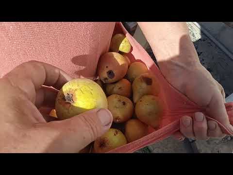 Видео: Дача, ПОНЯЛ ДОДЕЛАЮ И НА ПОТОК...Бердянск Запорожская