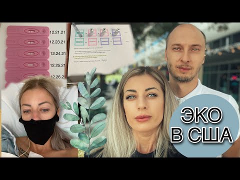 Видео: ЭКО в США. Сколько стоит? Этапы и сколько это занимает по времени. Флорида. Майами.
