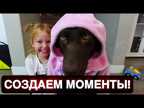 Видео: Вот так мы проводим вечер!