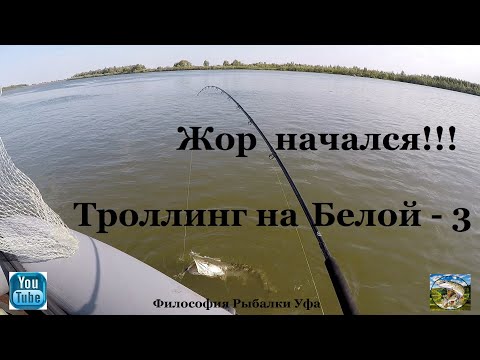 Видео: Жор начался !!! Троллинг на Белой - 3