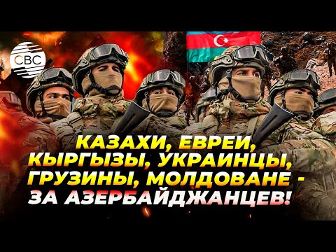 Видео: Друзья поздравляют Азербайджан с победой над Арменией