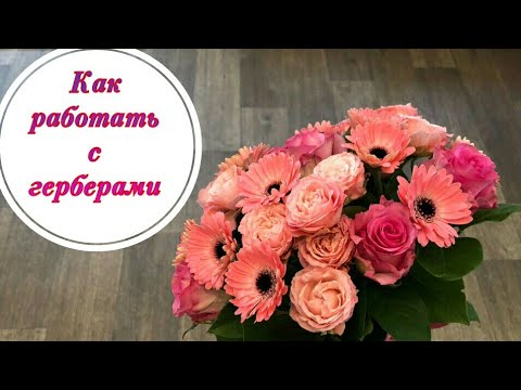 Видео: БУКЕТ С ГЕРБЕРАМИ. BOUQUET WITH HERBERS. ФЛОРИСТИКА ДЛЯ НАЧИНАЮЩИХ