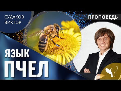 Видео: Виктор Судаков | Язык пчёл | Проповедь