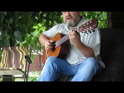 Видео: "За тихой рекою". Текст С. Трофимова, музыка И. Матвиенко. Гитара Aria AK-45. Учусь играть заново.