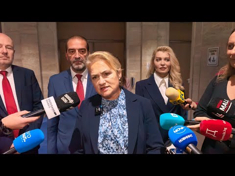Видео: Красимира Катинчарова пред медиите: ДАНС като политически орган и намагнетизираният Пеевски