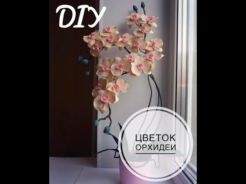 Видео: ОРХИДЕЯ ИЗ ФОАМИРАНА для начинающих. Часть 1