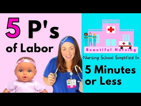 Видео: ✅ 5 принципов работы ✅ Объясняется за 5 минут или меньше