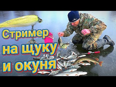 Видео: Стример на щуку и окуня