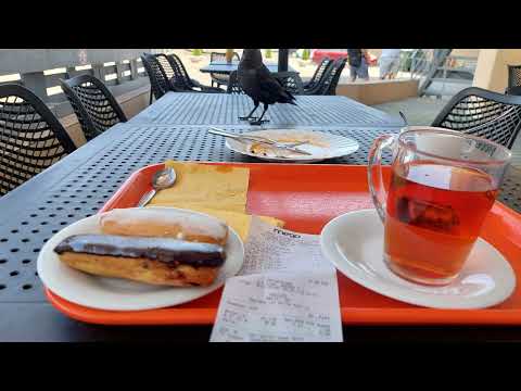 Видео: на велосипеде вокруг Белоруссии (2023) день 1