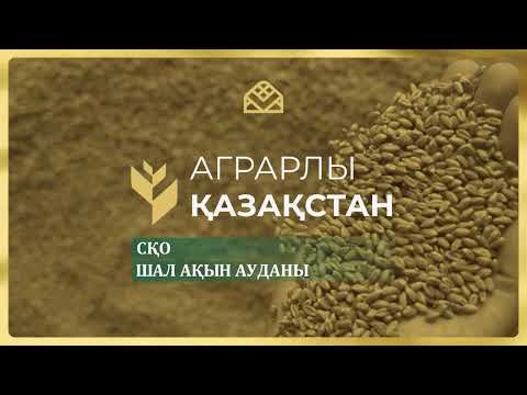 Видео: Шал ақын ауданы – аграрлық әлеуеті жоғары өңір