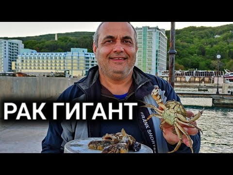 Видео: РИБОЛОВ НА ЗАРГАНА С ДЖИГ! ПОПЧЕТА НА ВОЛТИ СЪС СТРЪВ ОСОЛЕНА ЦАЦА, РАПАНИ, КАЛМАРИ И СКАРИДИ!!!