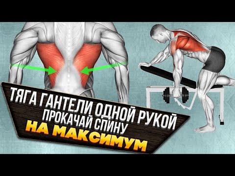 Видео: Тяга гантели одной рукой. Техника выполнения и ошибки. Как максимально проработать широчайшие #спина