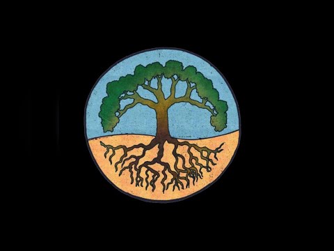 Видео: ШКОЛА НЕЙРОСЕНСОРИКИ Михаила Белого Шамана