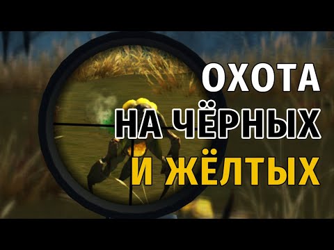 Видео: 94. Охота на Чёрных и Жёлтых. Сталкер Онлайн | Stalker Online | Stay Out. RU2.