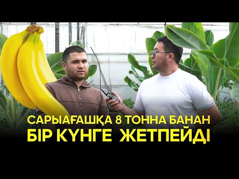 Видео: Сарыағашқа 8 тонна банан бір күнге жетпейді
