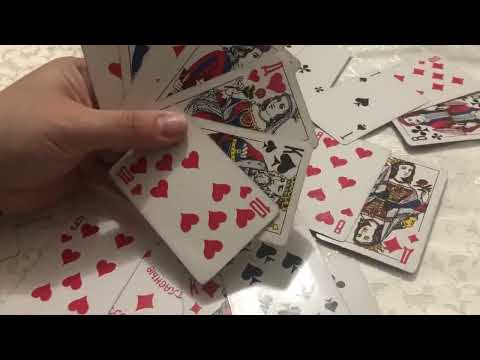 Видео: Скучает ли король по доме ❤️