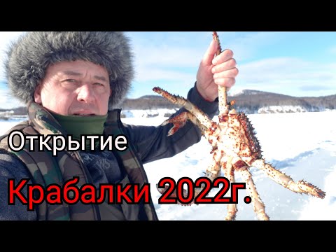 Видео: Открытие крабалки 2022г. Крабы охотского моря. Рыбалка на Сахалине.