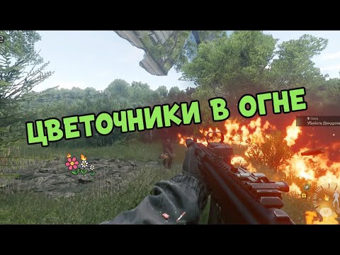 Видео: Простая Чилл вылазка Active matter