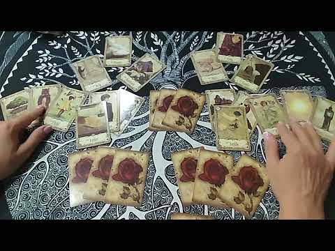 Видео: Судьбоносная встреча 🌌...опоздал ты😭, братец- лис👺, другому ♥️отдала и буду век ему верна😝😂😍💯❗❗❗