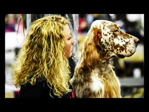 Видео: Геннадий Хазанов. Мой Друг (Миновали годы). Зарисовка Аркадия Чикина