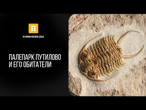 Видео: Палепарк Путилово и его обитатели