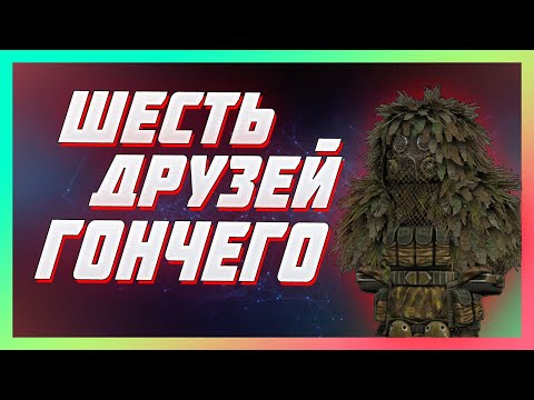 Видео: 🐶 ШЕСТЬ ДРУЗЕЙ ГОНЧЕГО | STALCRAFT 🐶