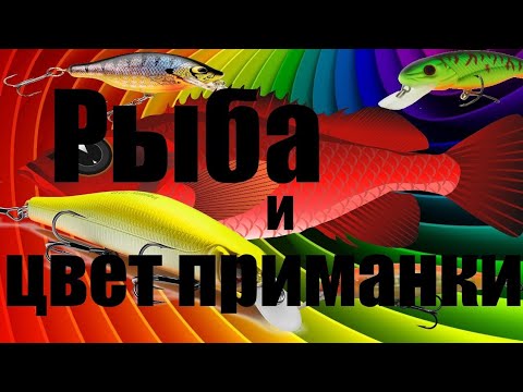 Видео: Важен ли цвет воблера?