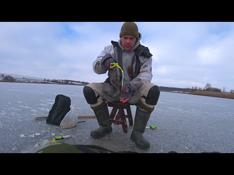 Видео: Бешеный Клев Зимней Плотвы, Лучшая Проводка Для Ловли, На Одну удочку с мормышкой