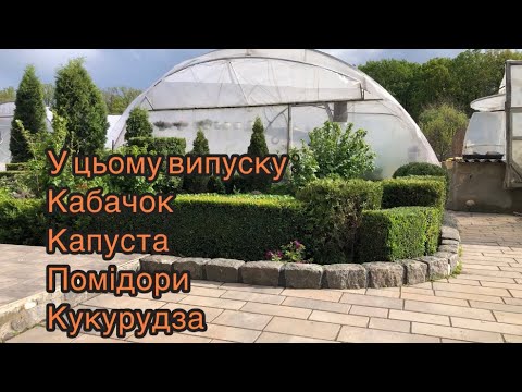 Видео: Обіцяний цікавий відос для найкращих глядачів