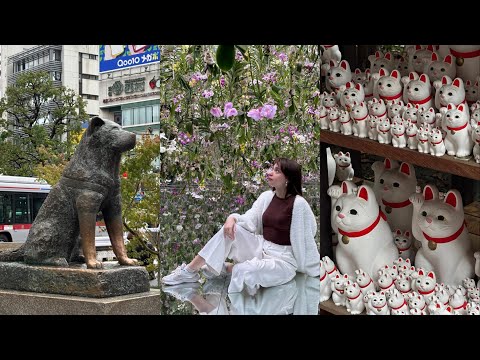 Видео: Токио | мой опыт путешествия | teamLab | Shibuya sky| бар Centifolia