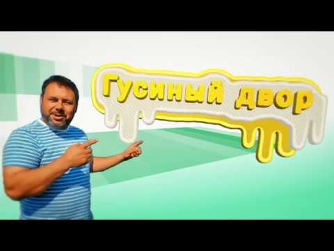 Видео: Если к птицеводу проникла инфекция// Что делать?//