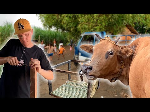 Видео: Привезли ТЕЛОЧКУ в КАФЕ. Делаю ДОМИК для ЩЕНКА. Местный быт в деревне ФИЛИППИН.