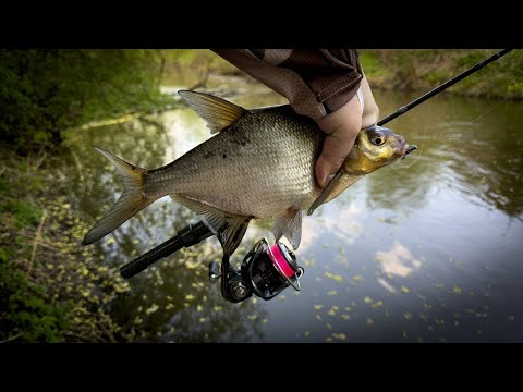 Видео: СХВАТИЛ — И НАЧАЛОСЬ! / МОРМЫШИНГ НА МАЛОЙ РЕКЕ