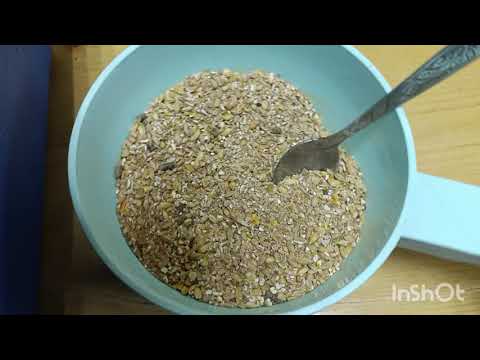 Видео: Продолжаю кормить так же 🙄🐔.  6🥚 лучше чем 3. 🤔😉