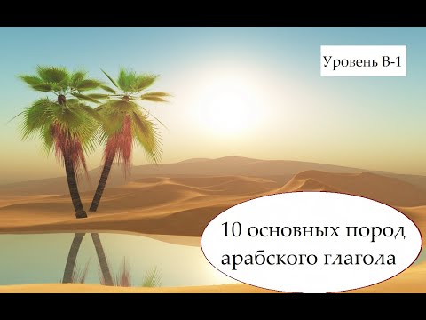 Видео: О 10 основных породах глагола за 25 минут!
