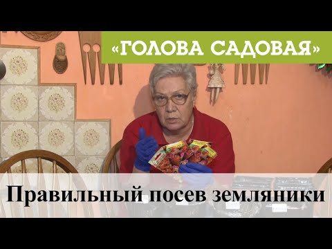 Видео: Голова садовая - Правильный посев земляники