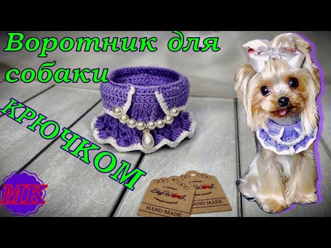 Видео: Воротник для собаки. Вязание крючком | Crochet dog dress collar