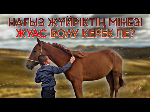 Видео: ЖҮЙРIКТIҢ МIНЕЗI ҚАНДАЙ БОЛАДЫ❓🤔🐎