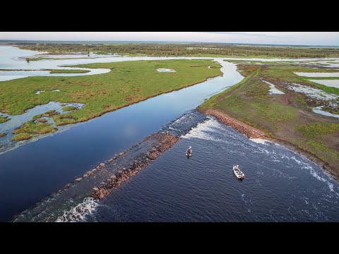 Видео: 100 баррамунди пойманы за 2 дня! | Северная территория, сток