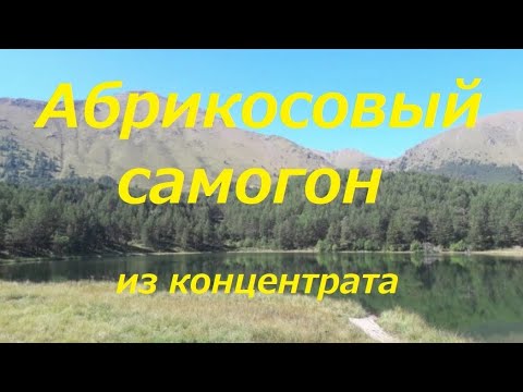 Видео: 38. Абрикосовый самогон из концентрата