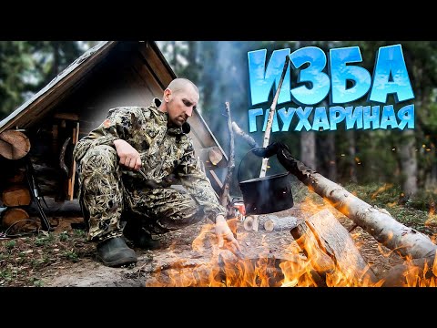 Видео: Ходовая охота с собакой. Жизнь в тайге. Боровая дичь.